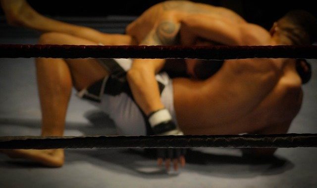 wrestling-384652_640